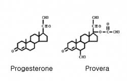 CBprogesteroneproveramolecules